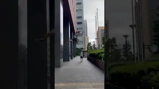 Wall jump with 3 steps Compilation #parkour