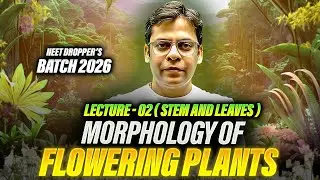 Stem and leaves | Lecture 02 |  Morphology of Flowering Plants |  2026 Dropper’s Batch | Rishabh Sir