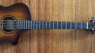 BREEDLOVE ECO COLLECTION PURSUIT EXOTIC SERIES COMPANION TIGER EYE'S CE MYRTLEWOOD