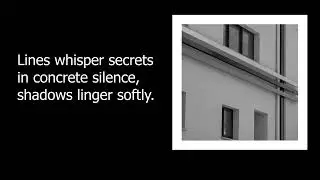Mood Diary #102 Lines whisper secrets