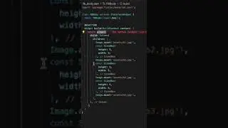 Flutter SingleChildScrollView 