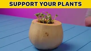 7 incredible ways to support plants | Craftberry