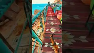 Arabian Vibes Lounge in Egypt!! Wonderful Places