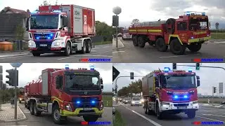 [ausgedehnter Flächenbrand in den Rheinauen] zahlreiche Einsatzkräfte aus Rheinland-Pfalz im Einsatz