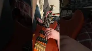 Dancing Queen Bass Cover - Schecter Stiletto Studio 5-ff