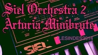 Siel Orchestra 2 - w Arturia Minibrute - using EQ & Flanger