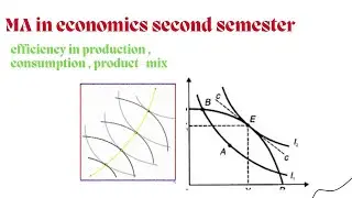 Efficiency in production, consumption and product-mix in nepali