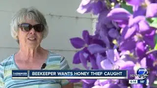 Sting of honey theft hurts worse than sting of bees for one Weld County beekeeper