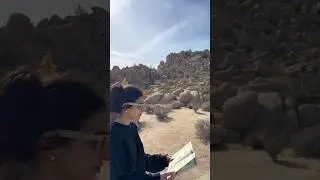 We went camping at Joshua Tree
