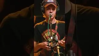 🌲AUDIOTREE🌲 