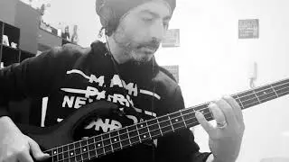 Zanzie from The bass to Rock -  (L.Silvestri)