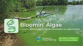 Bloomin' Algae: a citizen science app to share information on algal blooms