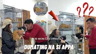 FUR MOM LIFE UPDATE 🇵🇭 | DUMATING NA SI APPA 😻