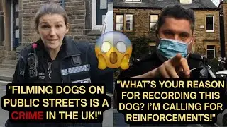 Filming Dogs on Public Streets is a Crime in the UK! | First Amendment Audit Cops Videos