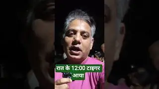 Bagh in kotdwar, tiger in kotdwar, Uttrakhand mein tiger, tiger spotted, tiger in village, guldar
