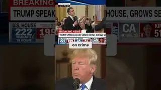 Debunking Myths: Democrats and Crime in America