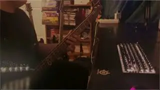 The Climb - Perfectly Nothing (Bass Cover)