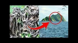 Un para&iacute;so mortal. Las terribles CRIATURAS que gobiernan ESTA ISLA SALVAJE