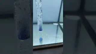 DIY Fish poop collector | DIY Siphon for fish tank  #aquarium #diyaquariumfilter #tankfilter #diy