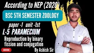 paramecium reproduction by binary fission and conjugation BSc 5th sem zoology paper 1st unit1st by A