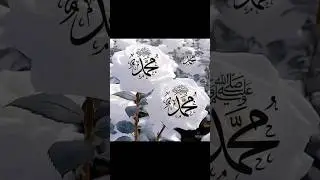 #shorts#islamicyoutube#vedios#quran#surahdahar
