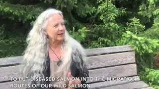 Alexandra Morton: Protecting Wild Salmon