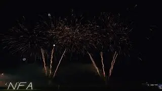 Raccoon Fireworks NFA 1.4g Proline product demo