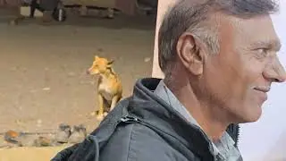 Santvani bhajan live hanumanji mandir bhajan madhi parbat bhai sorani