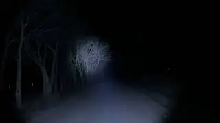 DARKFANG 1450 Lumen Tactical Flashlight with Green Laser | Link in Description