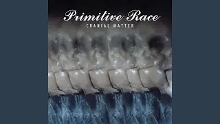 Cranial Matter (Toshi Kasai Mix)