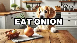Can Dogs Eat Onions? Explained
