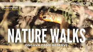 E09 NATURE WALKS