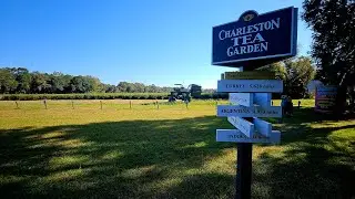 CHARLESTON TEA GARDEN 