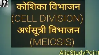 अर्धसूत्री विभाजन(MEIOSIS)