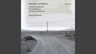 Brahms: Clarinet Quintet in B Minor, Op. 115: IV. Con moto