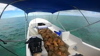 Conch season in Belize!!
