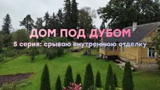 Серия 5, Жуткая история от свёкра и странная находка!