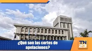 &iquest;Qu&eacute; son las cortes de apelaciones?