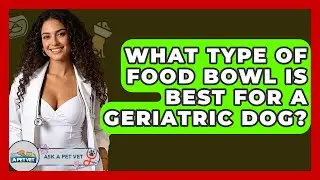 What Type Of Food Bowl Is Best For A Geriatric Dog? - Ask A Pet Vet
