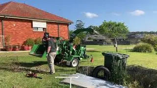 Mulching Trees