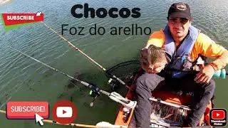 chocos na lagoa de Óbidos