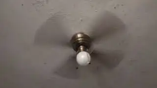 SMC royal flush ceiling fan