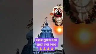 sakala pranama ghane hey chaka nayan 🙏🙏#jayjagannathswami #shorts#bhajan video #viral#jagannath dham