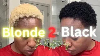 How to dye hair from Blonde to Black Re- pigmentation Tutorial | #hairdye 