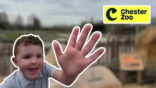 The NEW Heart of Africa at Chester Zoo &ndash; You HAVE to See This!