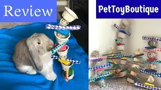 PetToyBoutique Etsy Shop Toy Review: Buntastic Products