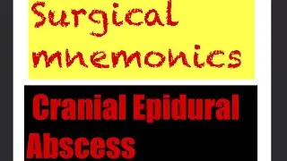 Cranial Epidural Abscess.