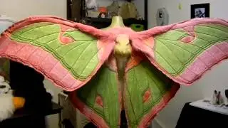 Animatronic Luna-moth wings