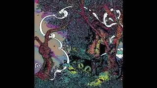 DHVANI - Angustium (Full Album 2019)
