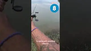 How to use a senko #fishing #carp #fish #lake #bass